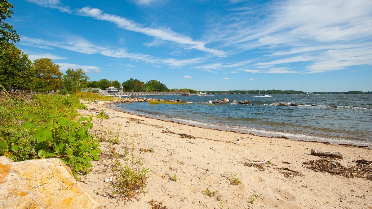The beach on the WHHS campus