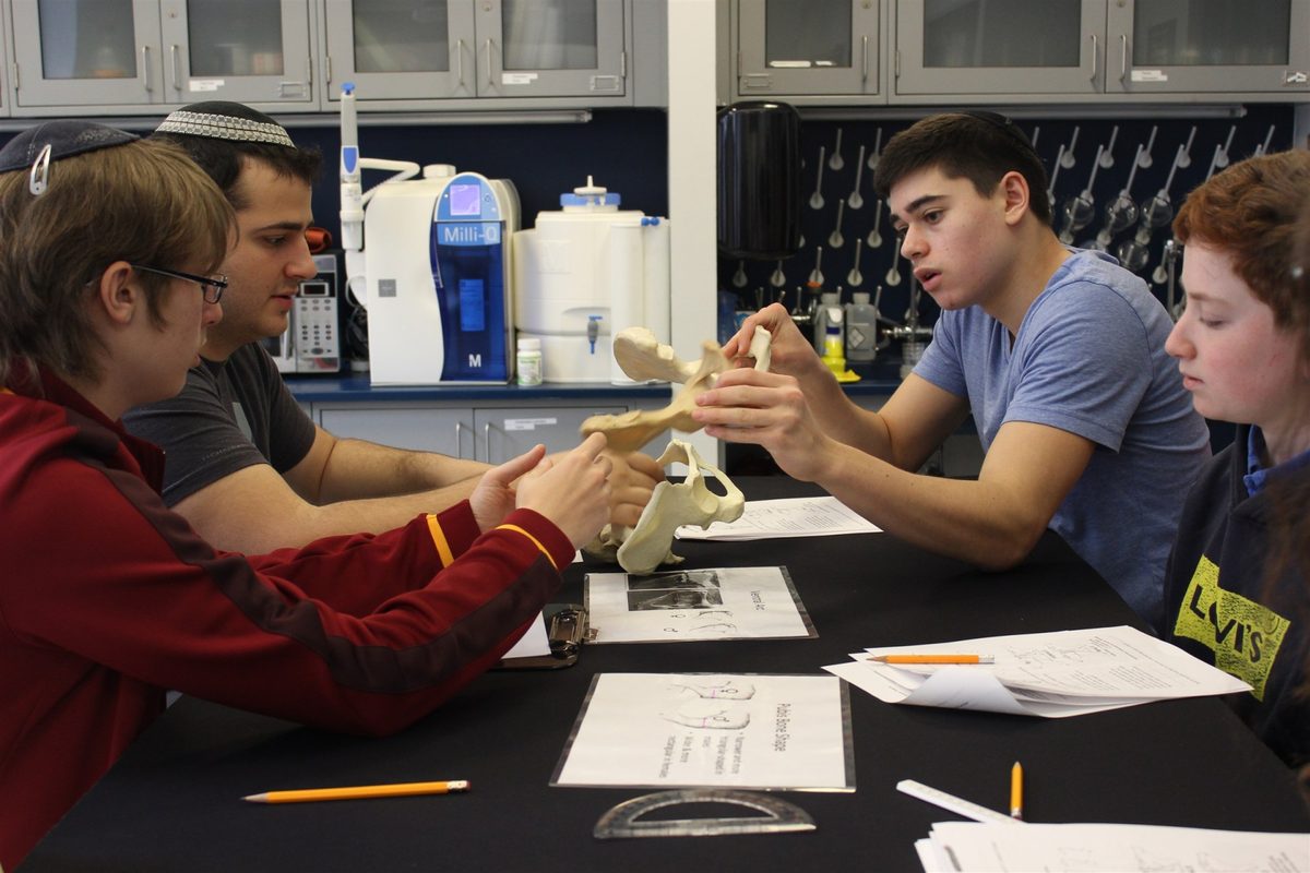 WHHS students studying an anatomy model in the science lab
